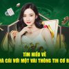 Tại sao đá gà trên mạng luôn thua B52 Club